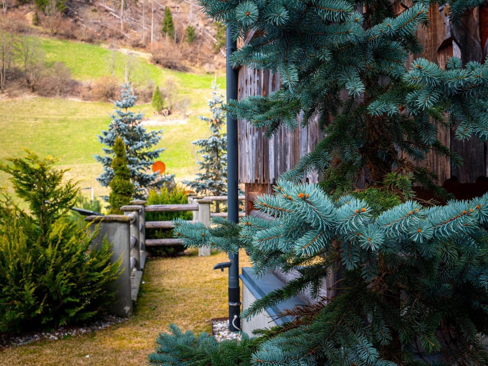 Alpine Mountain Chalet San Vigilio Di Marebbe Dış mekan fotoğraf